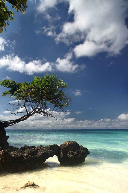 cayo levantado.jpg